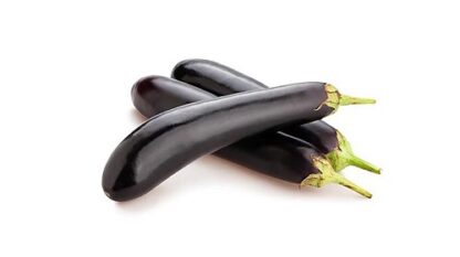 Eggplant-Long