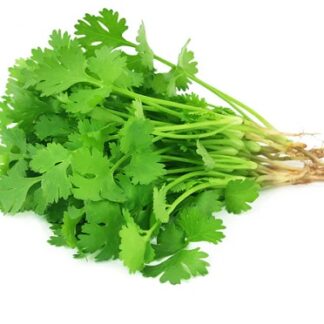 coriander