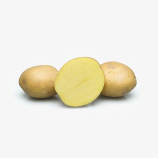 Potato