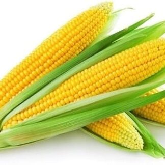 corn