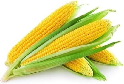 corn