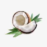coconut